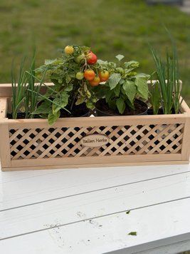 Набір овочева колекція &laquo;Sunshine Kitchen Garden&raquo;, контейнер НОКСКГК2026 фото