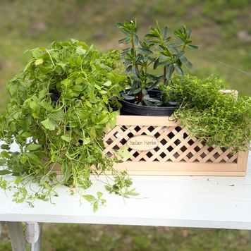Набір скарб травника &laquo;Herbal Treasure Set&raquo;, контейнер НСТК2026 фото