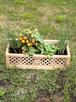 Набір городній шарм &laquo;Garden Charm Box&raquo;, контейнер НГШК2026 фото