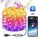 Гірлянда Smart poса RGB, з пультом управління, 10 м, 100 Led, USB, Bluetooth, управління з телефону ПР024 фото 1